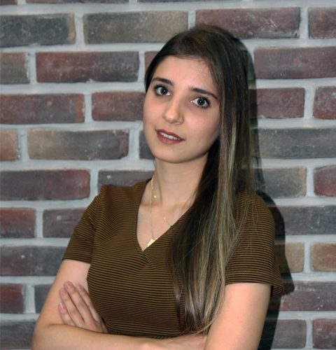 Elif Tengiz